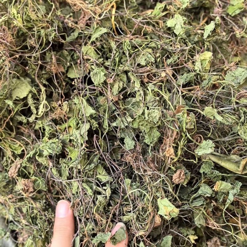 新货野生积雪草干品破铜钱崩大碗缺碗草马蹄草大货