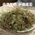 新货野生积雪草干品破铜钱崩大碗缺碗草马蹄草大货