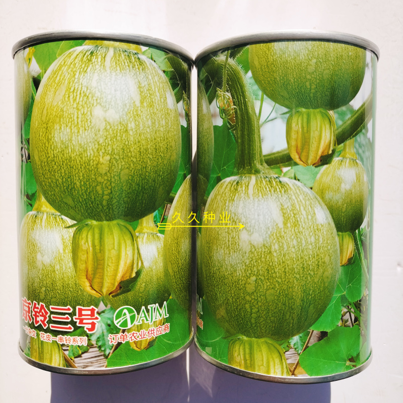 京铃三号西葫芦种子早熟嫩瓜圆球形肉厚口感鲜嫩南瓜籽