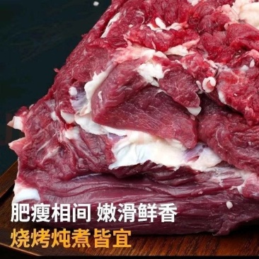 牛腿肉牛腩肉微调理电商精品，支持小包装。电商一件代发