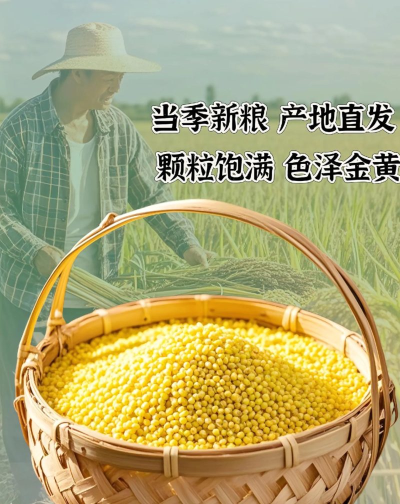 东北大黄米