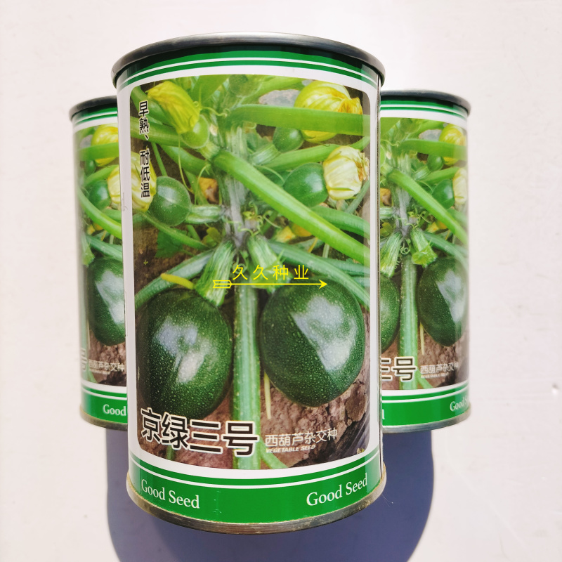 京绿三号西葫芦种子杂交早熟生长期短耐高低温性好节节有瓜