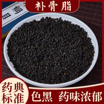 正品补骨脂中药材野生破故纸婆黑故子盐补骨脂大货批发