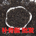 正品补骨脂中药材野生破故纸婆黑故子盐补骨脂大货批发