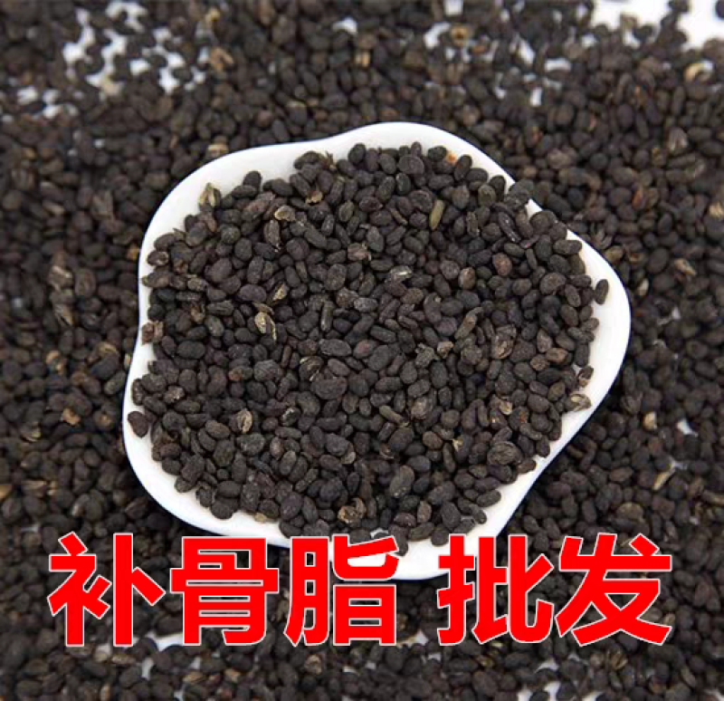 正品补骨脂中药材野生破故纸婆黑故子盐补骨脂大货批发