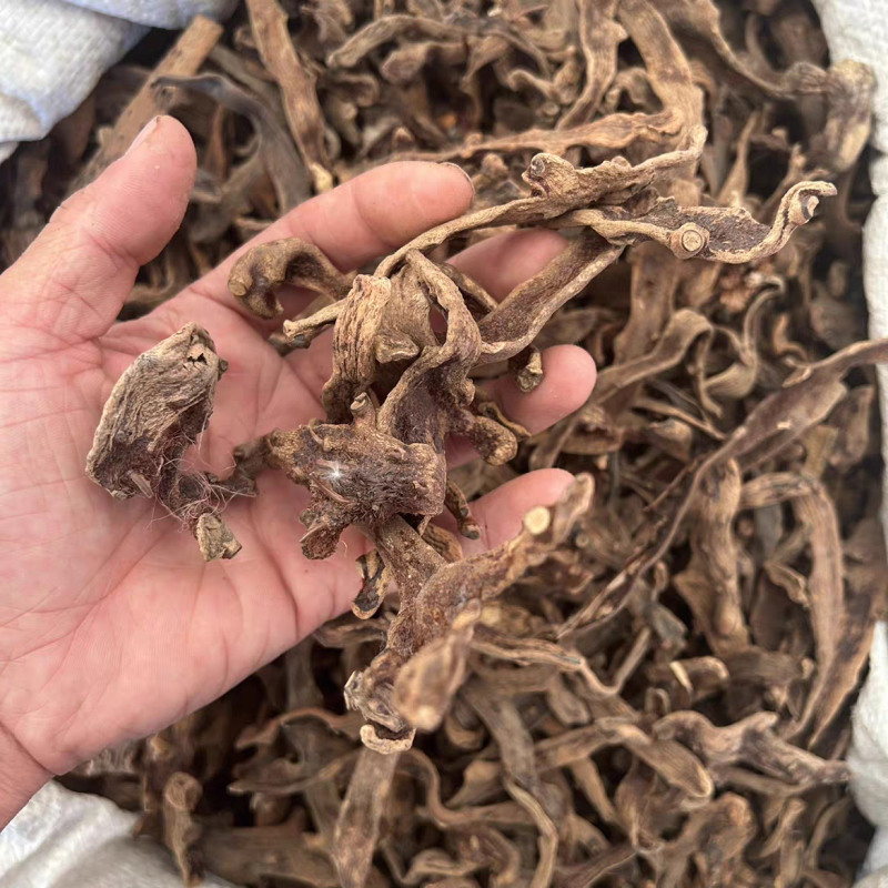 骨碎补野生特级骨碎补中药材正品品质保证纯货净货