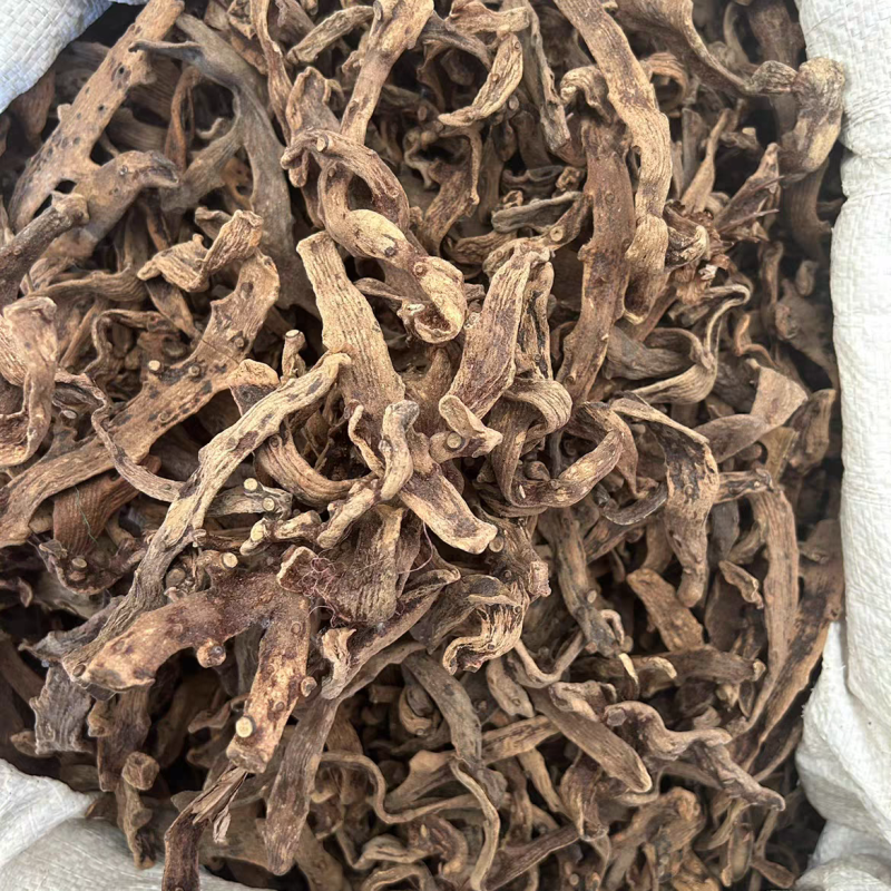 骨碎补野生特级骨碎补中药材正品品质保证纯货净货