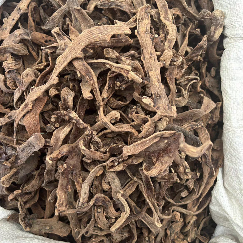 骨碎补野生特级骨碎补中药材正品品质保证纯货净货