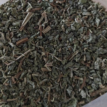 薄荷叶