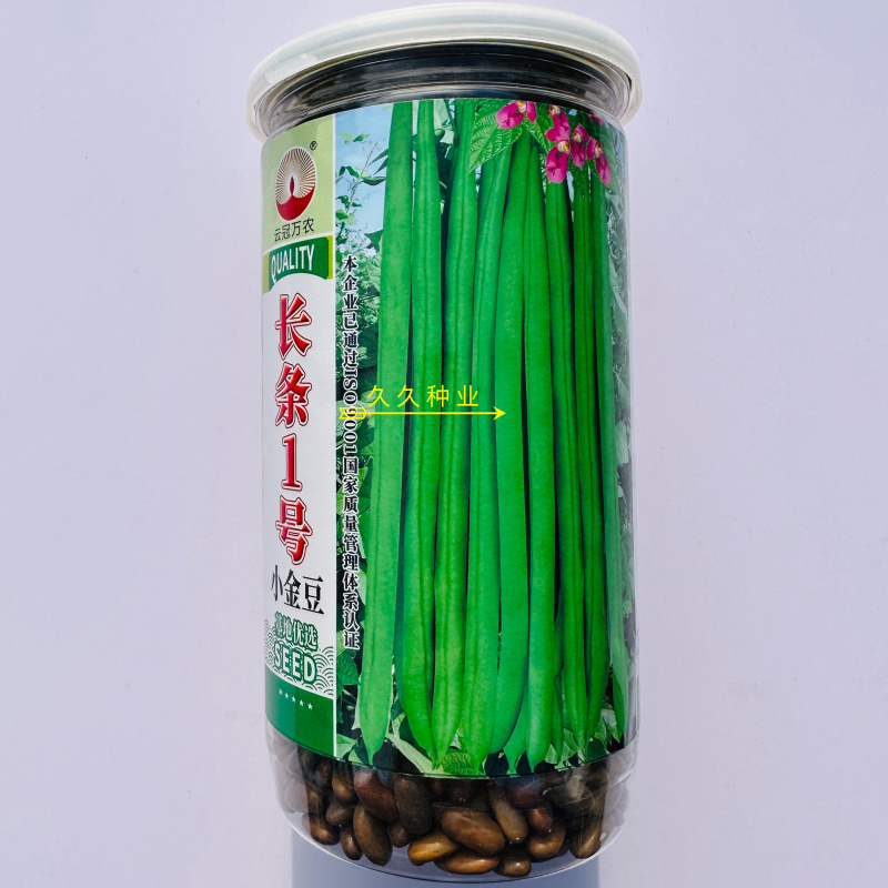 长条1号小金豆种子蔓生荚色浅绿近圆形质脆纤维少耐寒抗病