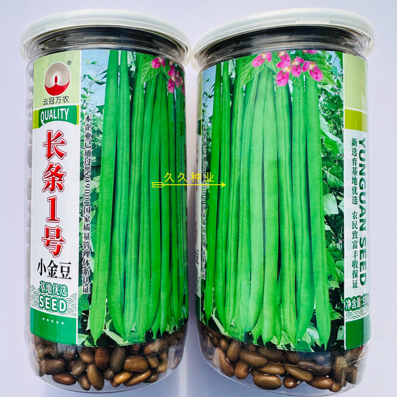 长条1号小金豆种子蔓生荚色浅绿近圆形质脆纤维少耐寒抗病
