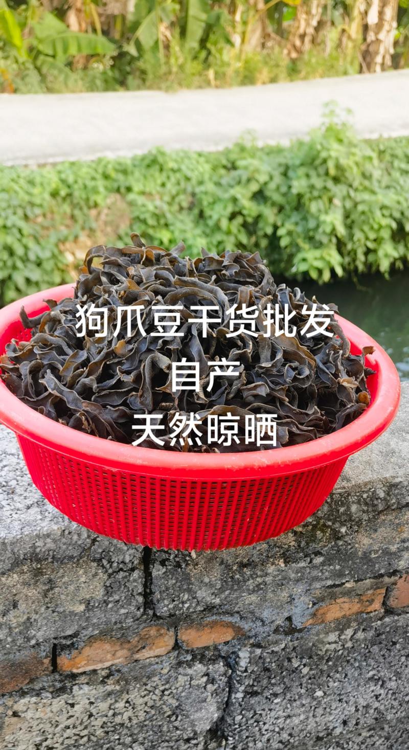 自种狗爪豆/狗爪豆干