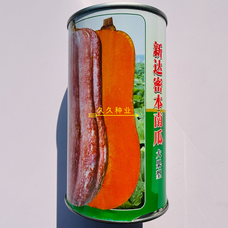 新达蜜本南瓜种子粉糯味甜南瓜种籽橙红肉水分少抗病高产