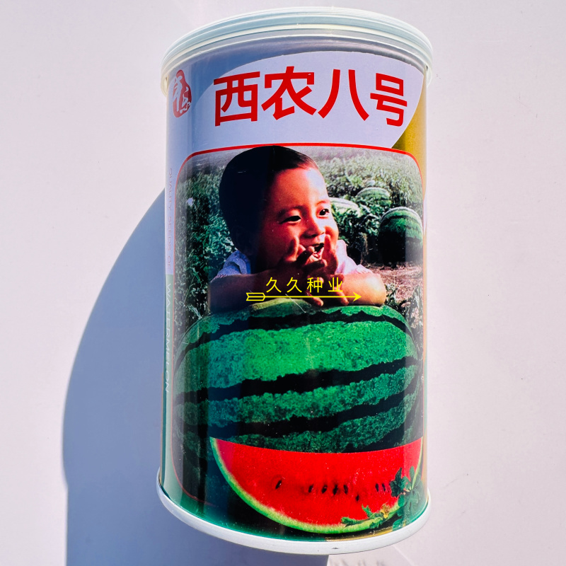 西农八号西瓜种子杂交中晚熟花皮西瓜抗病耐旱耐湿果肉鲜红