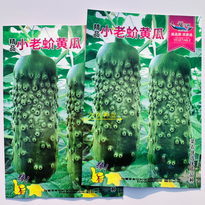 小老蚧黄瓜种子唐山秋瓜大包大刺绿瓤绿肉秋黄瓜晚黄瓜