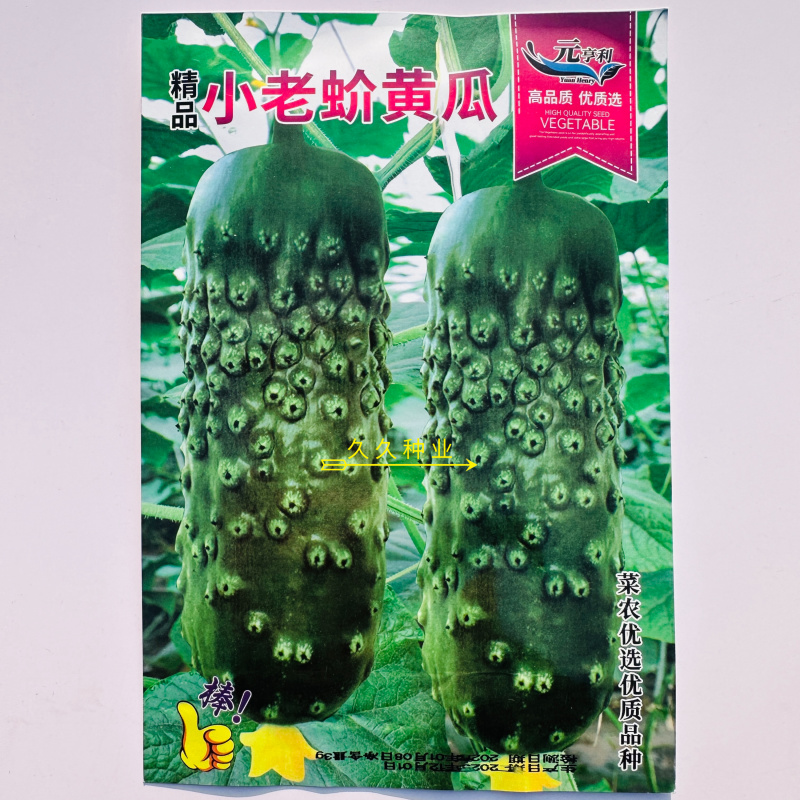 小老蚧黄瓜种子唐山秋瓜大包大刺绿瓤绿肉秋黄瓜晚黄瓜