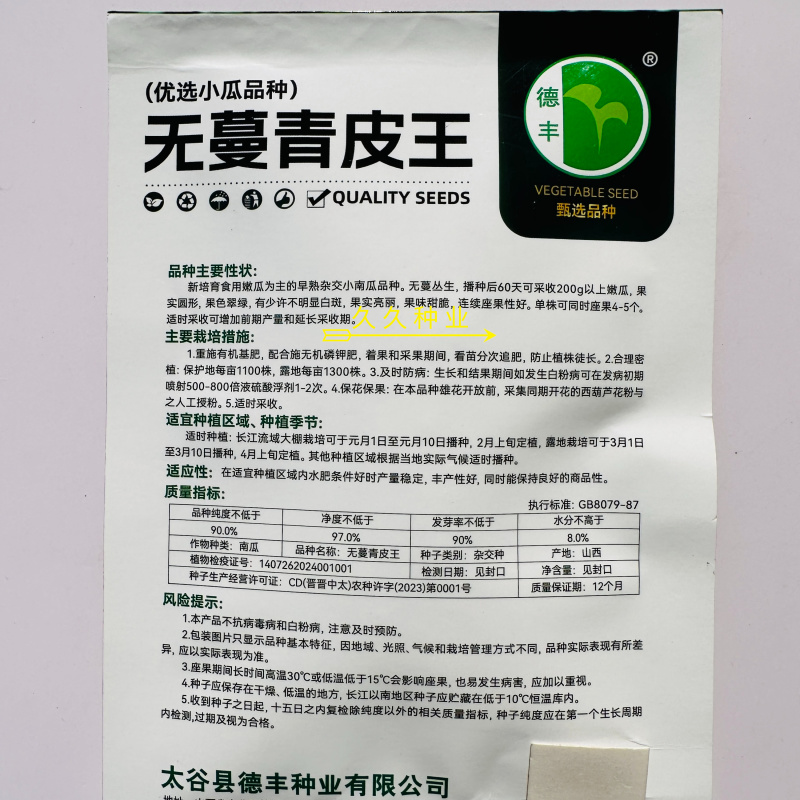 无蔓青皮王小南瓜种子亮绿甜脆多果早熟高产商品性佳