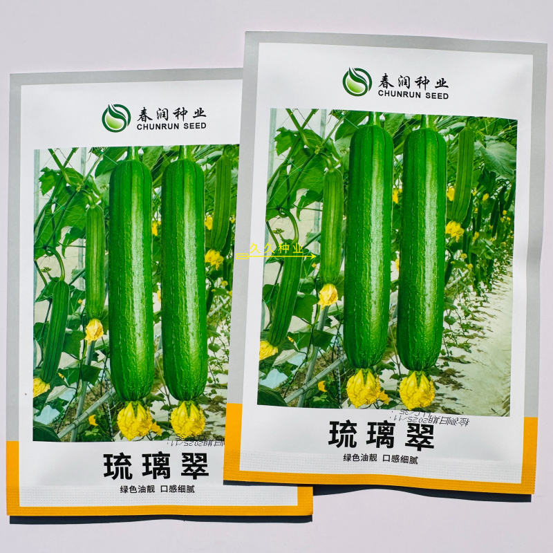 春润琉璃翠绿色油亮丝瓜种子早熟杂交短棒肉质细嫩爽口味甜