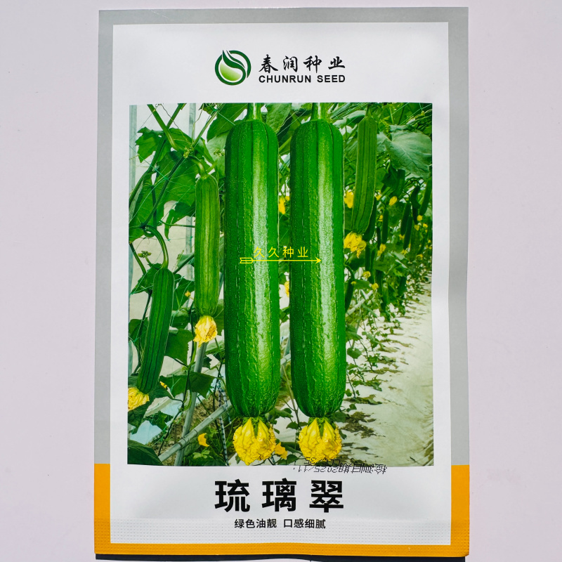 春润琉璃翠绿色油亮丝瓜种子早熟杂交短棒肉质细嫩爽口味甜