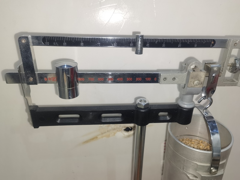 3号3号D龙麦198吨843容重
