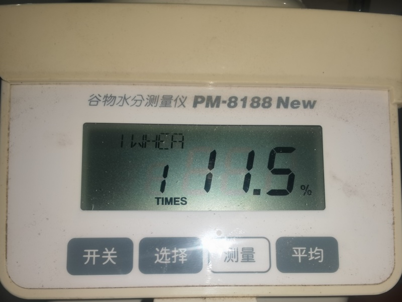 3号3号D龙麦198吨843容重