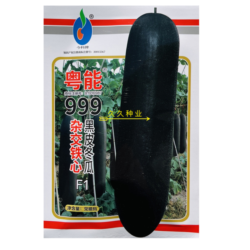 粤能999黑皮冬瓜种子杂交铁心炮弹黑皮特大冬瓜
