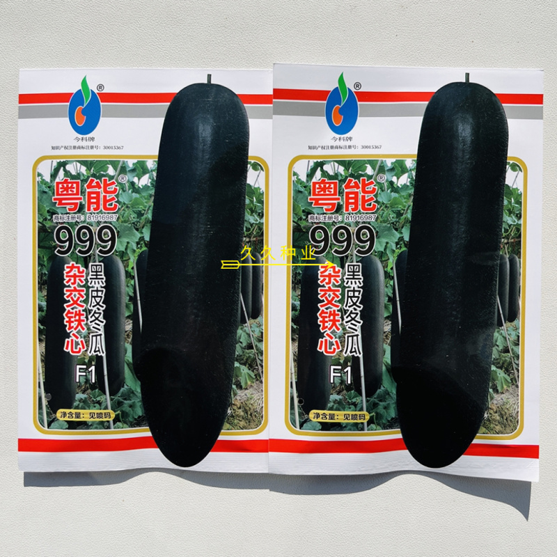 粤能999黑皮冬瓜种子杂交铁心炮弹黑皮特大冬瓜