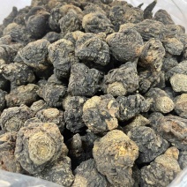 玛卡2025黑玛卡片干货云南黑玛个子质量保证
