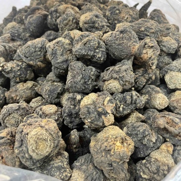 玛卡2025黑玛卡片干货云南黑玛个子质量保证