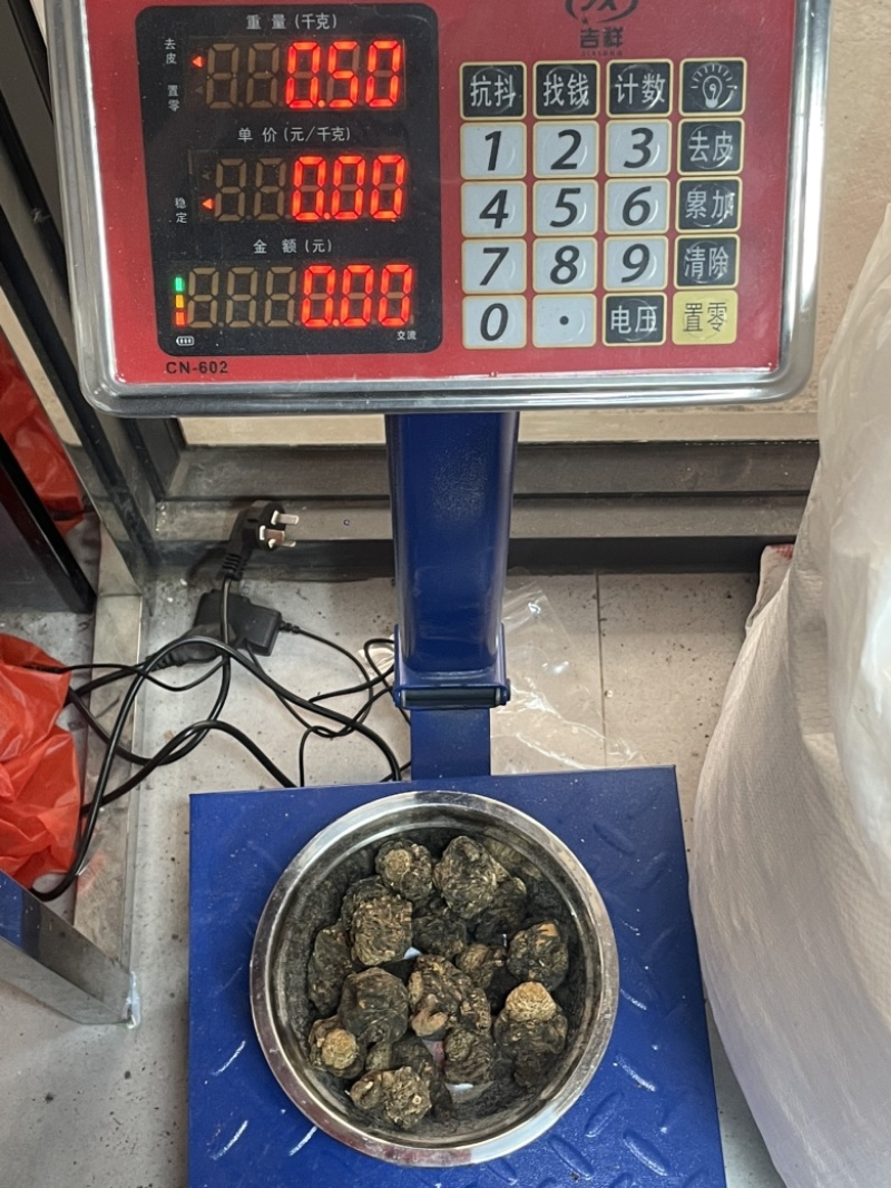 玛卡2025黑玛卡片干货云南黑玛个子质量保证