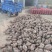 河南省确山县瓦岗丘陵高淀粉红薯