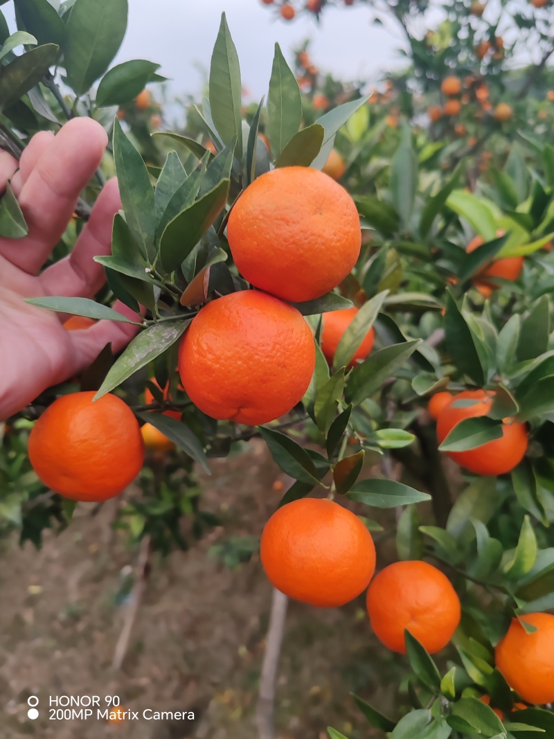 广西桂林东方红