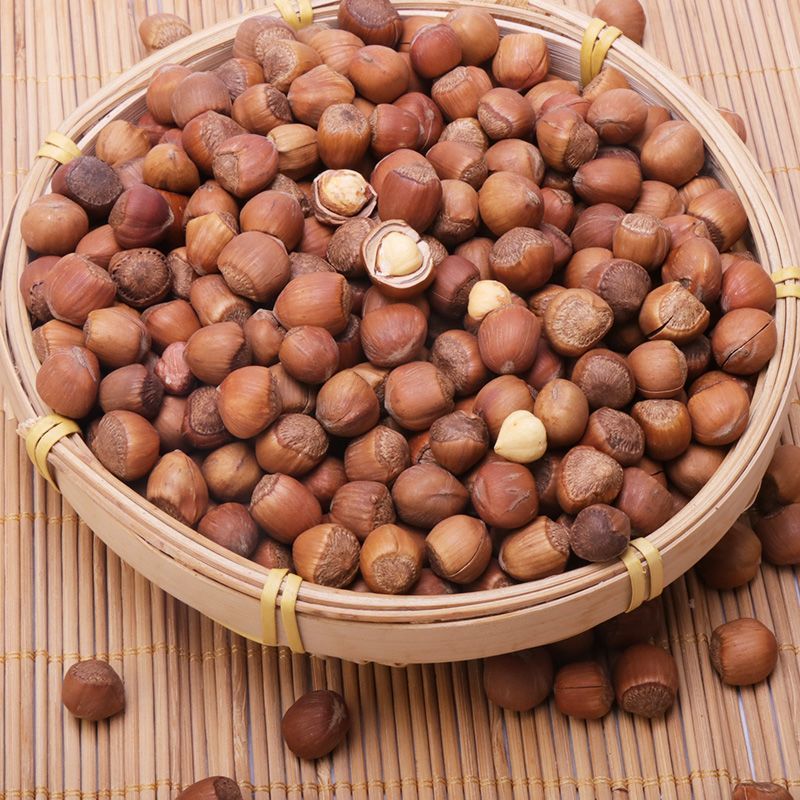 新货东北开口大榛子薄皮特大榛子原味炒熟坚果特产袋装批发