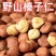东北野山小榛子仁熟500g新货铁岭特产原味炒熟坚果