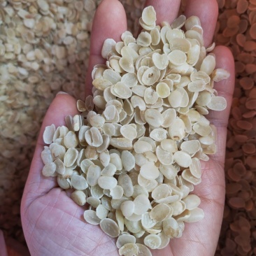 云南无硫皂角米单荚皂荚米250g可搭配桃胶雪燕银耳