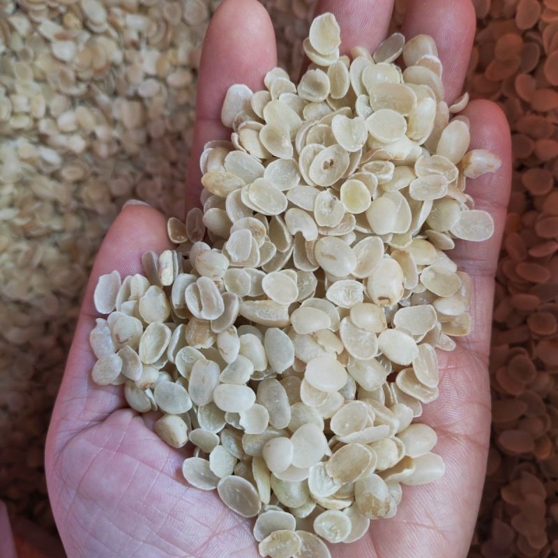 云南无硫皂角米单荚皂荚米250g可搭配桃胶雪燕银耳