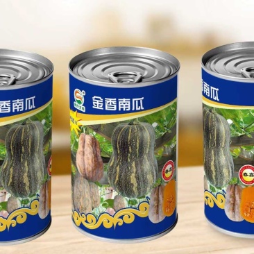 金香南瓜种子，基地供应，批发零售，量大从优
