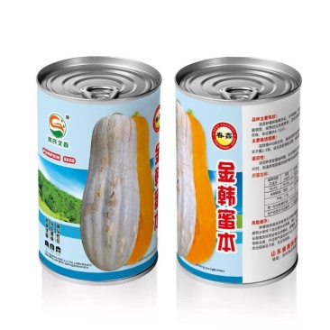 金韩密本南瓜种子，基地直供，量大从优
