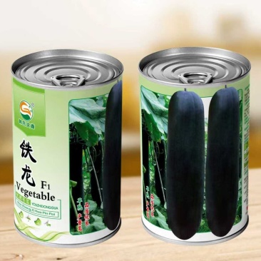 铁龙F1黑皮冬瓜种子，50克装，批发，零售，基地供应