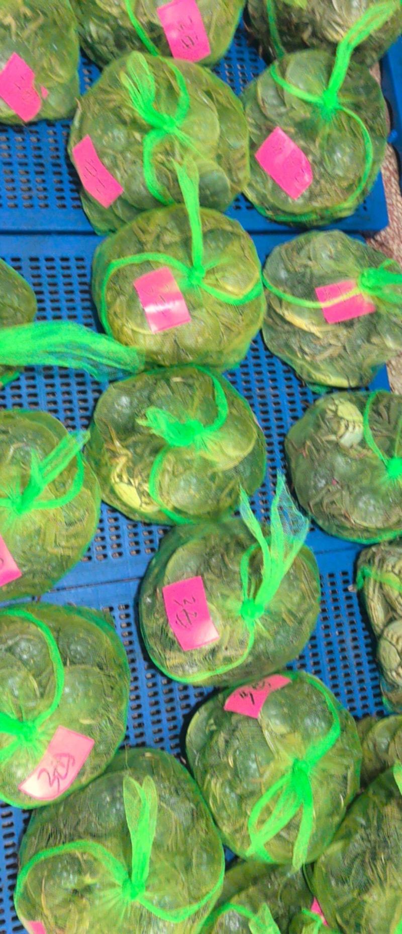 大闸蟹