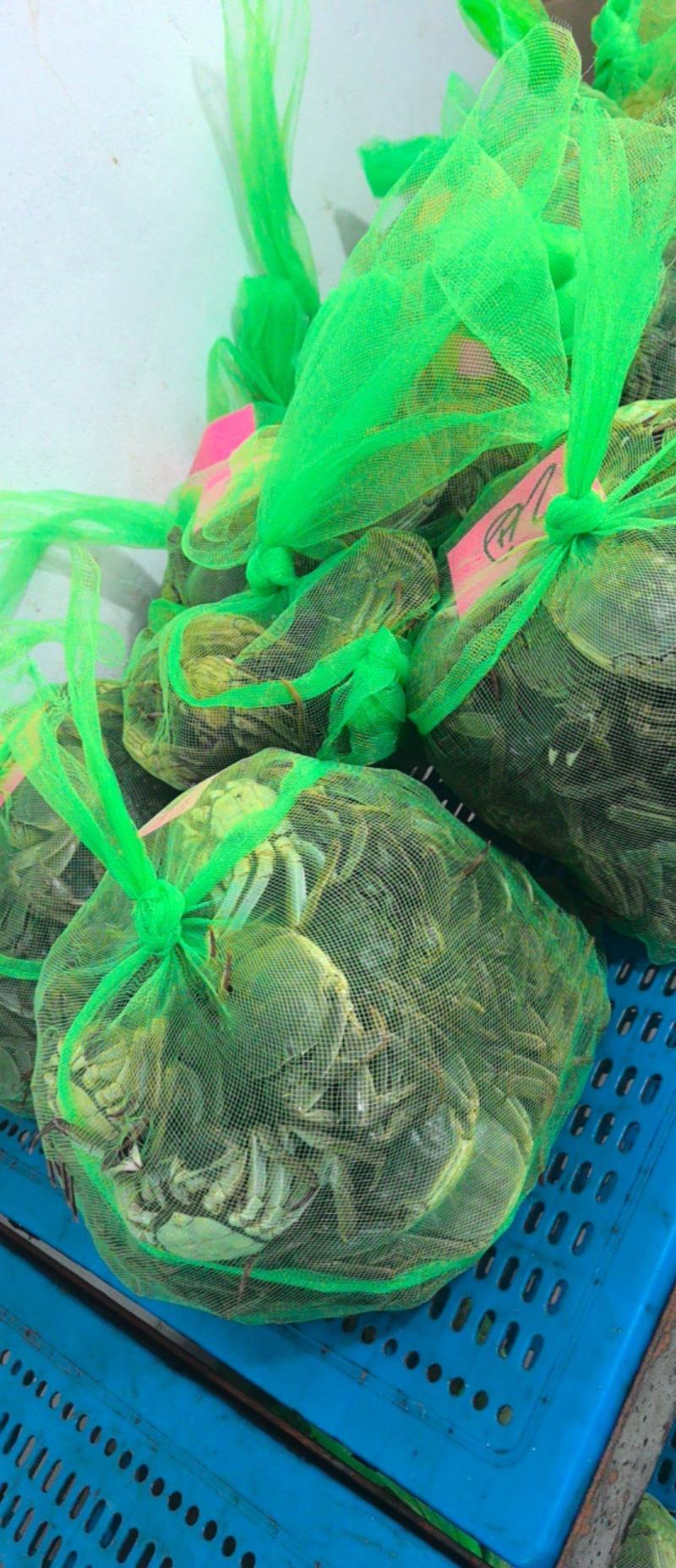 大闸蟹