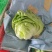 生菜球