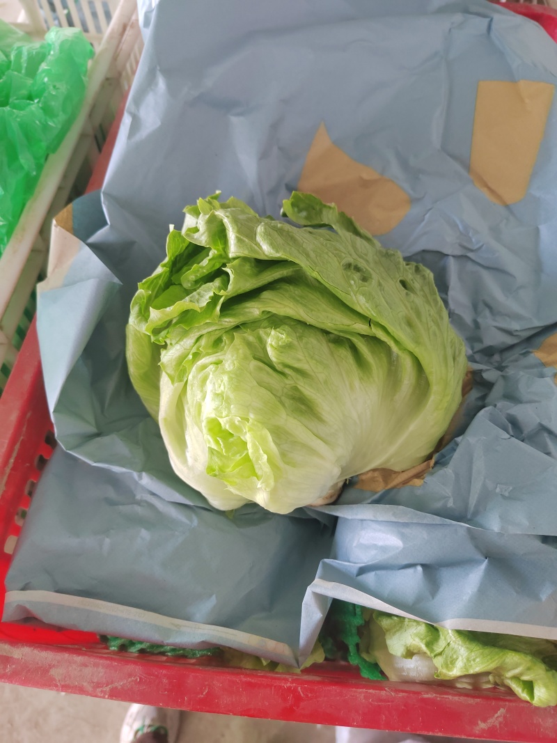 生菜球