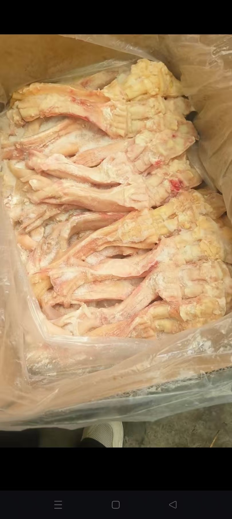 国产牛蹄筋实图拍摄不包干净无毛质量保证长期有货欢迎联系