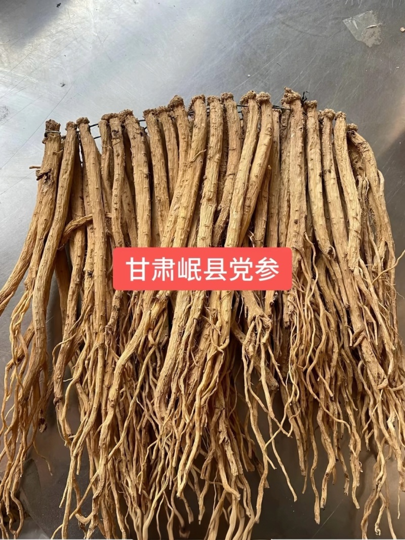岷县原产地自然风干无熏硫党参