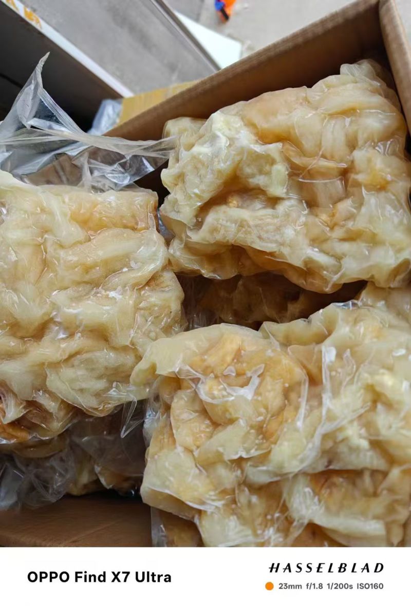 精品水发牛蹄筋不包邮厂家直发品质保证量大从优一手货源