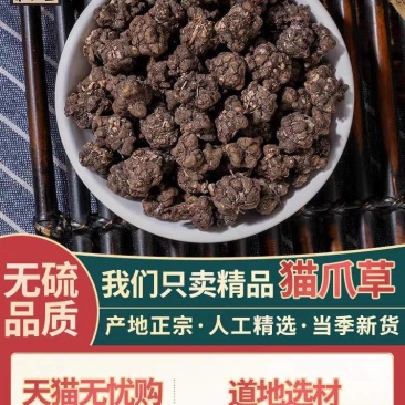 包邮）猫爪草中药材野生500g猫抓草药另售蒲公英夏枯草
