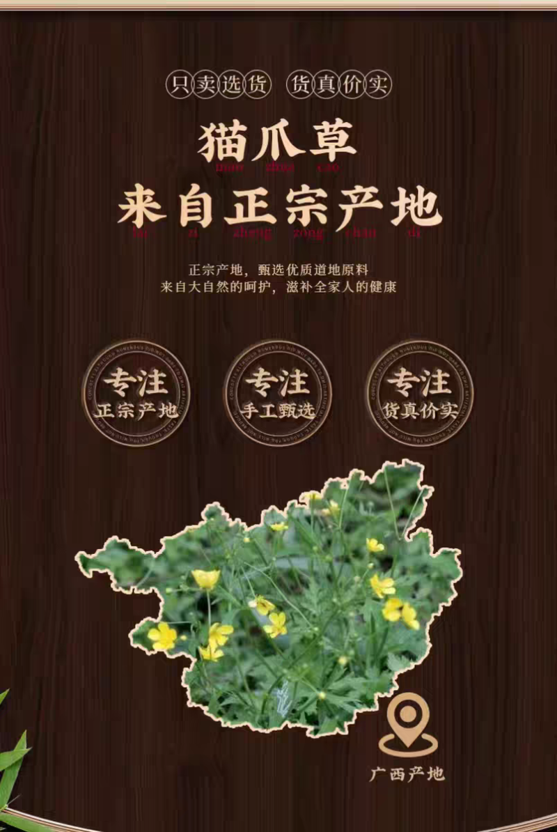 包邮）猫爪草中药材野生500g猫抓草药另售蒲公英夏枯草