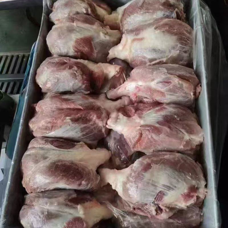 母猪龟腱肉