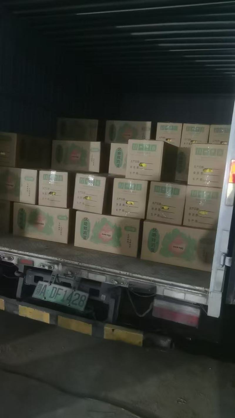 土鸡蛋大量上，产地直发，品质保证，服务周到，诚信经营